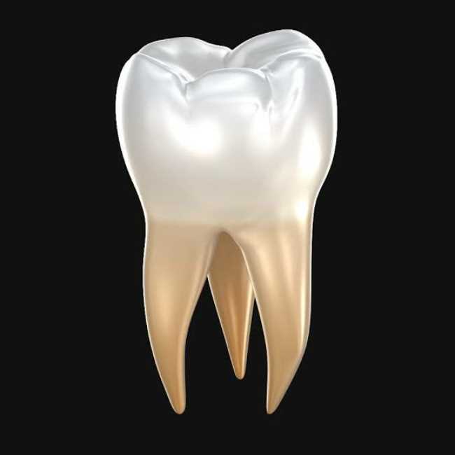 عيادة الوادي لطب وجراحة الفم والأسنان اسيوط
